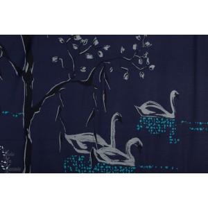 Modal Schwanensee bei Nacht SUSAlabim Lac des Cygnes de nuit Lillestoff