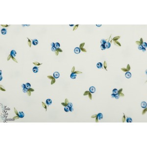 Jersey Blueberries Family fabric