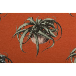 Sweat french terry  SYAS ''Air Plant Spice''