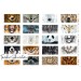 Panneau Masque Tierische Lillestoff masque animaux sauvage
