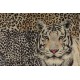 Canvas Gobelin Premium Afrique tigre pelage peau graphique ameublement 