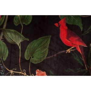 Velvet Basic Exotique velours décoration oiseau noir jungle 