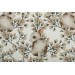 Jersey bio Bunnie White Tygdrommar lapin