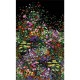 Simple Bordure Michael Miller Bowers of Flowers Black