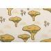 Sweat bio Elvelyckan Design Chantarelle Créme champignon
