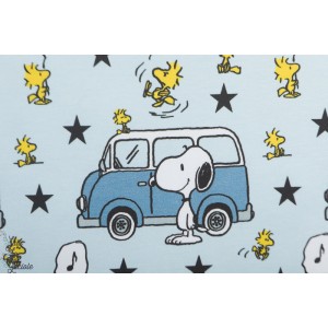 Jersey bio Snoopy and minivan