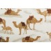 jersey drommy Family Fabrics
