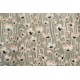 Popeline Cotton Steel ST101-GY3 In Bloom - Wildflowers - Gray Fabric