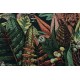 Jungle - M - Toile de Coton Gabardine - Autumn Joy -SYAS