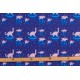 Sweat Bio  Collaboration MiniBonsoir et Le_ Loup_Art : Cosmos Dino
