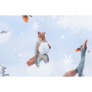 Jersey écureuils sur la neige