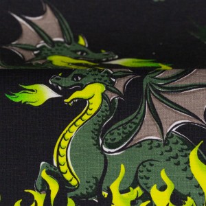 Sweat French Terry Mystic Dragons 558604