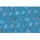 popeline bio Professor Mole, blau  Lillestoff