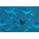 Jersey bio Unterwasserliebe Lillestoff susalabim mer bleu sirene scaphandrier poisson