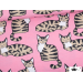Jersey bio Paapii Viiru light pink Latte