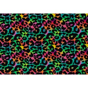 Jersey Mandy Léo Multi couleur