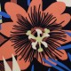 Popeline Strech jean  léger Bloom by Kâselotti Multicolore