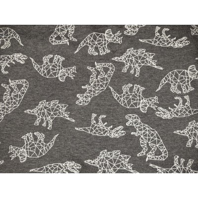 Sweat  french terry Dino graphique gris