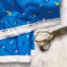 Coton bio Satiné Cloud9 Frolic