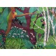Popeline ''Forêt''  par Heather Ross  Windham Fabric